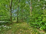 Images for Harpers Lane, Smithills, Bolton, BL1